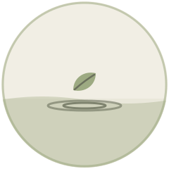 Illustration of a leaf floating on still water