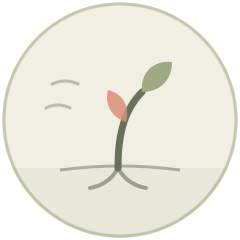 Illustration of a young plant bending in the wind while staying rooted
